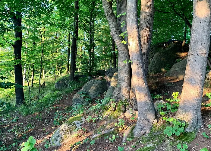 Casa vacanze Na Drzewie Staniszow